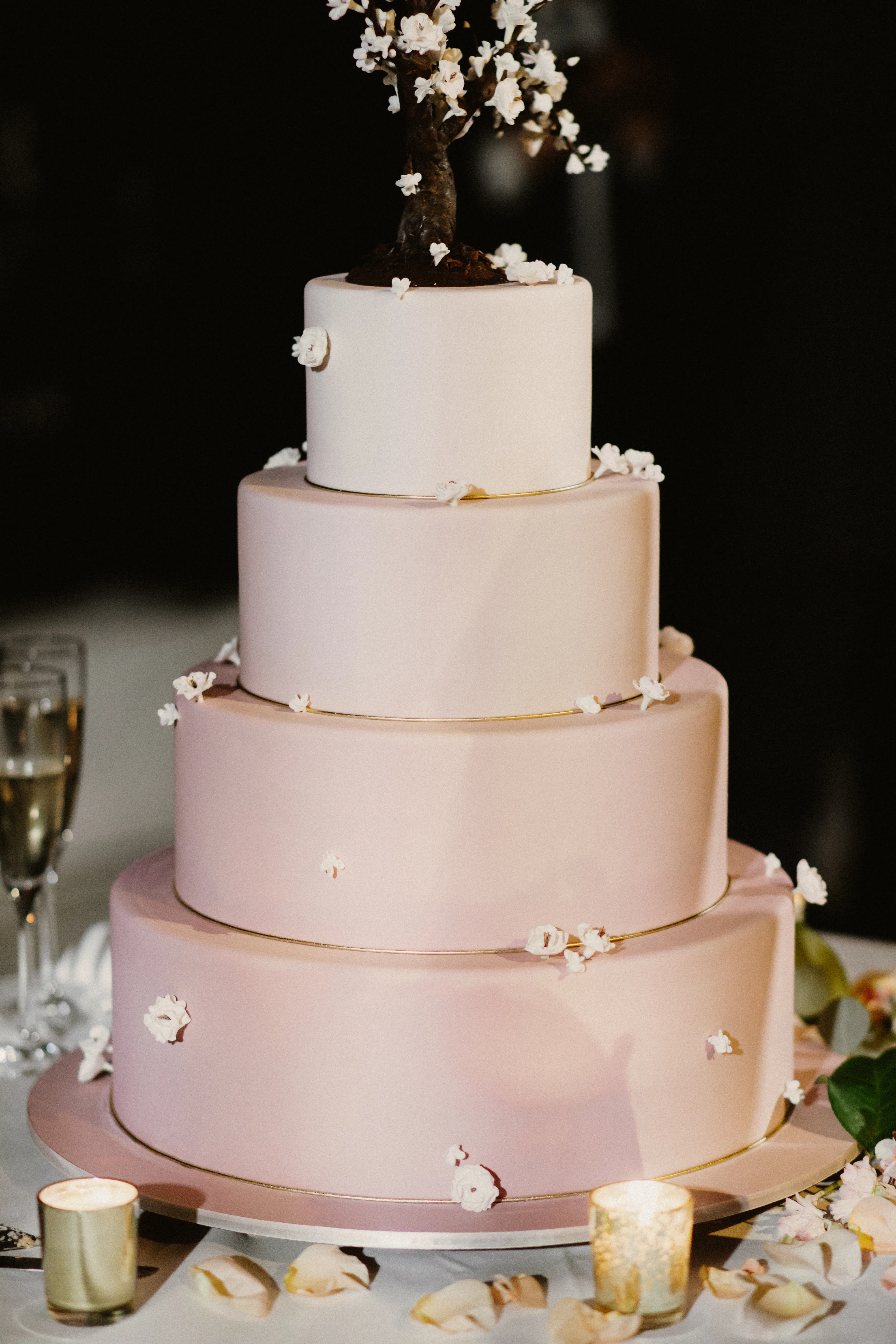 Gâteau rose — démo